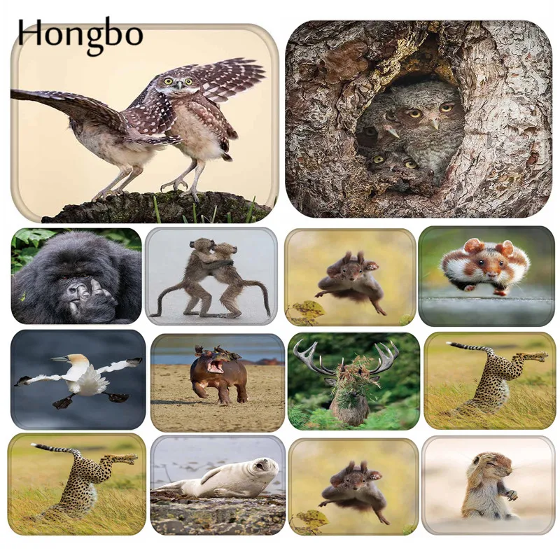Коврики Hongbo для входной двери в виде животных 40*60 см | Дом и сад