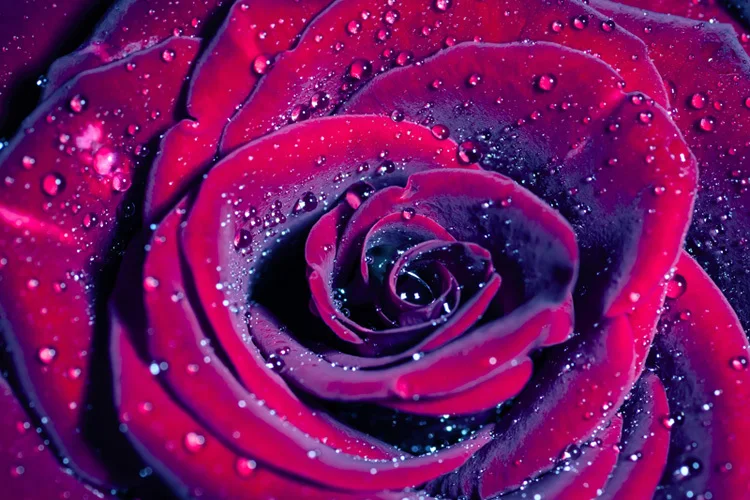 

Mural Rose 3D 3D wallpaper bedroom TV wedding studio mural 3D wallpaper background wall customization