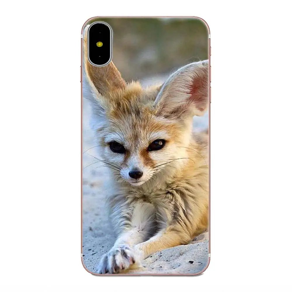 Милый Arctic fox для Apple iPhone X XS Max XR 4 4S 5 5C 5S SE 6 6S 7 8 Plus уникальный прозрачный чехол из