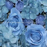 SPR Бесплатная доставка-светло-голубой 10 шт./лот Свадебные элегантные цвета