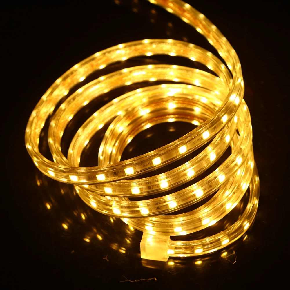 Лента светодиодная RGB SMD 220 60 светодисветодиодный Дов 10 мм ширина 1 м 5 20 50 240 м|led strip