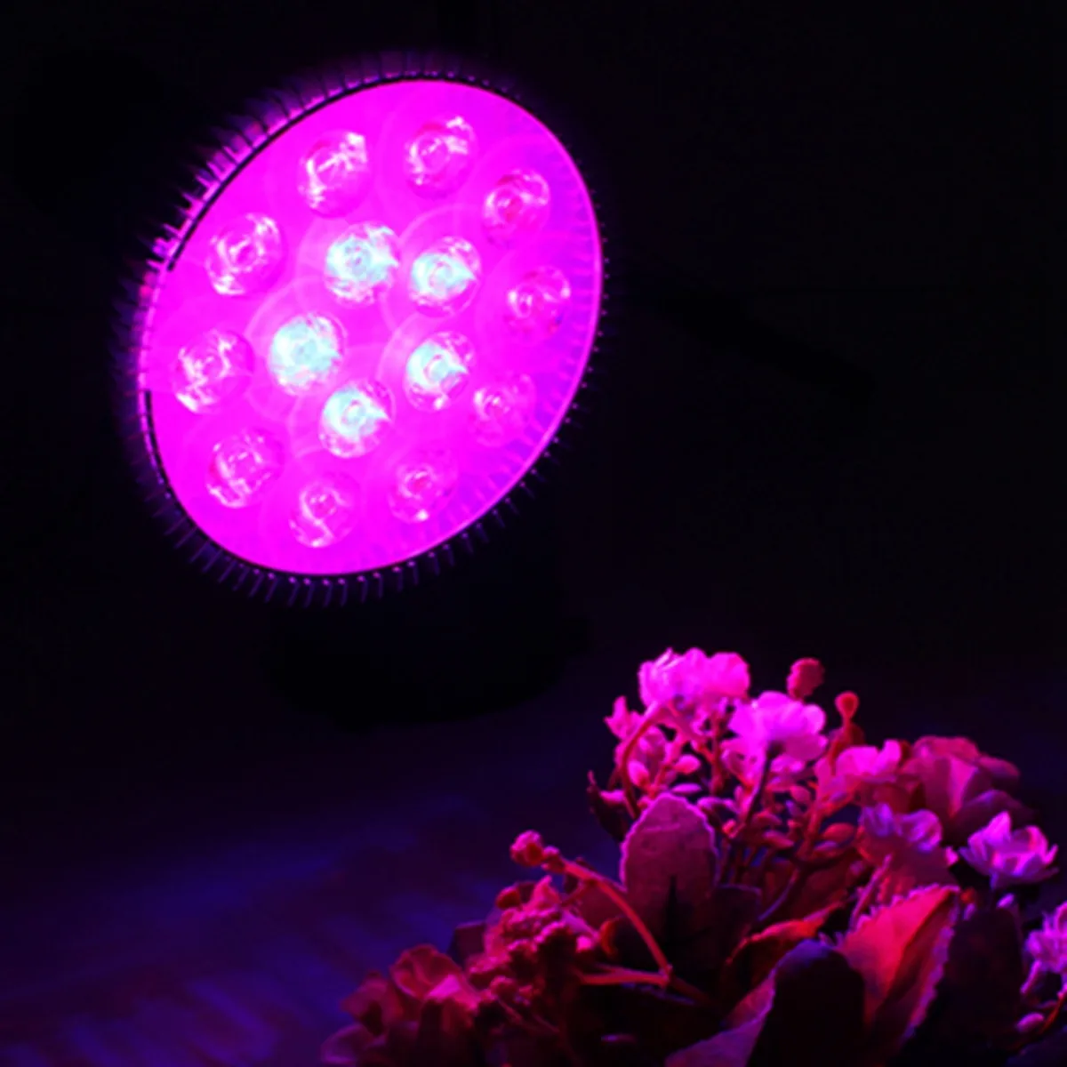 45W E27 Led Grow Light для комнатных растений AC85 265V красный + синий LED завод лампы цветущих