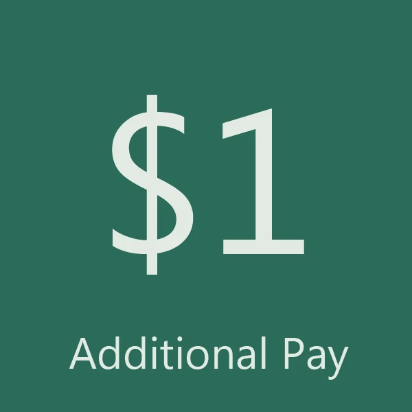 

Additional Pay on Your Order & Extra Fees & Shipping cost & Price difference Products
