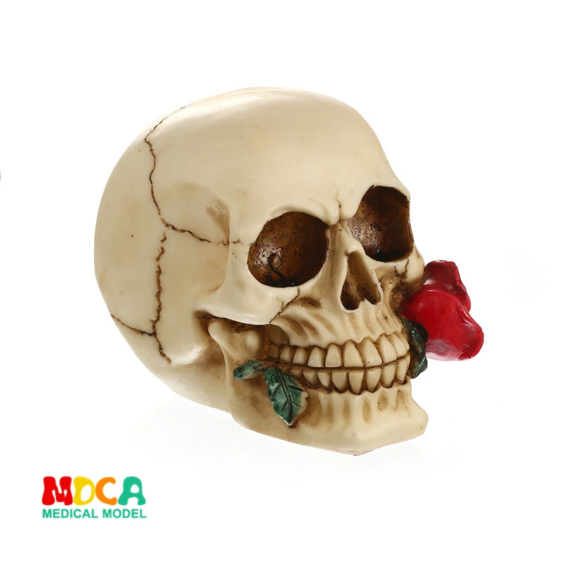 

Resin skull Halloween gifts personal ornaments home accessories GXGT032