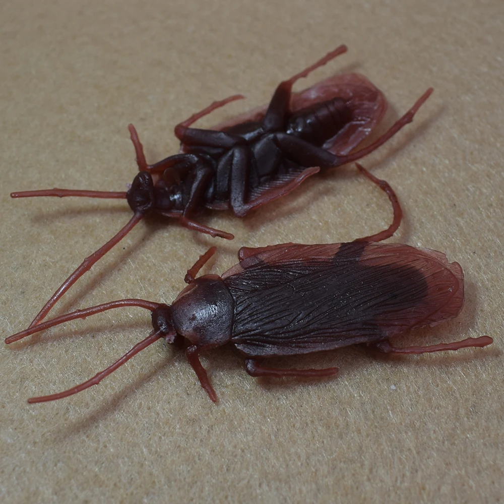 10PCS Lifelike Plastic Simulation Cockroach Tricky Joking Scary Gags Practical Jokes Toys for April Fool's Day Supply | Дом и сад