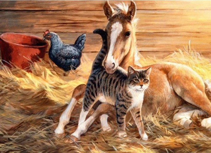Полная круглая алмазная живопись сделай сам милая кошка животные вышивка