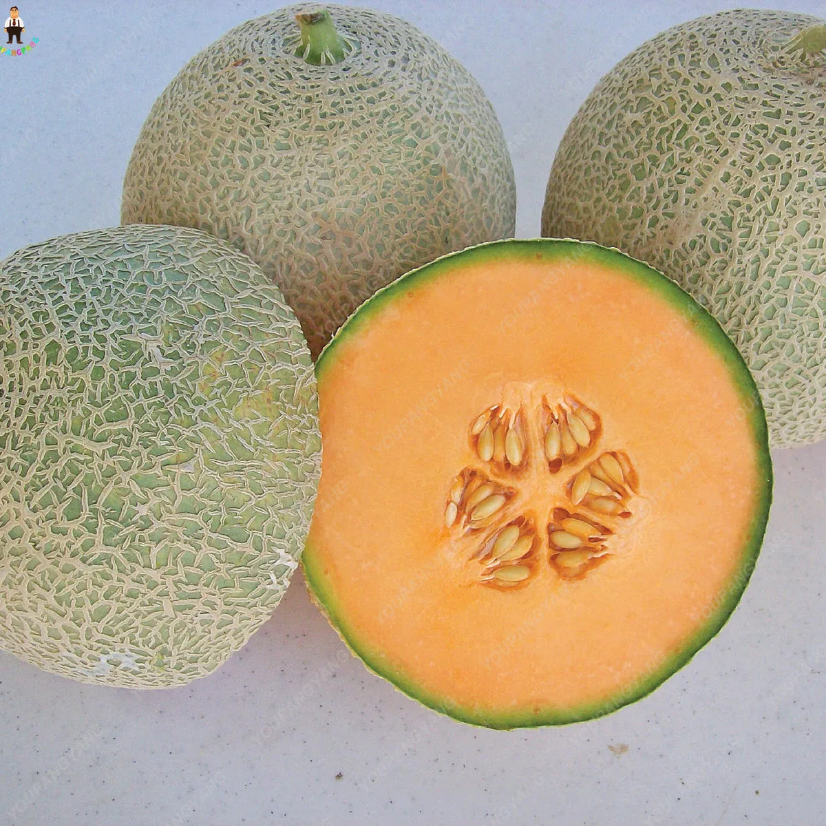 20 штук Hami Melon посадки бонсай Мускусная Дыня растения вкусные овощи фрукты для