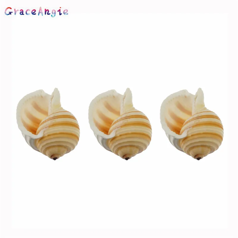 GraceAngie натуральная ракушка полосатая форма ювелирные аксессуары DIY пляжные
