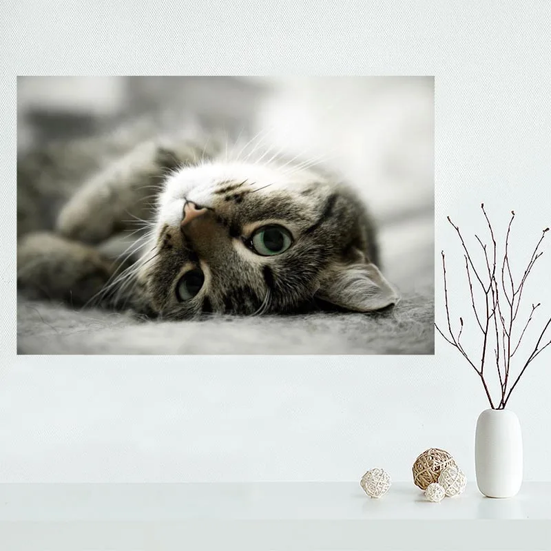 Hot Sale Custom cat canvas poster Home Decoration Wall Art High Quality cloth Silk Fabric wall print | Дом и сад