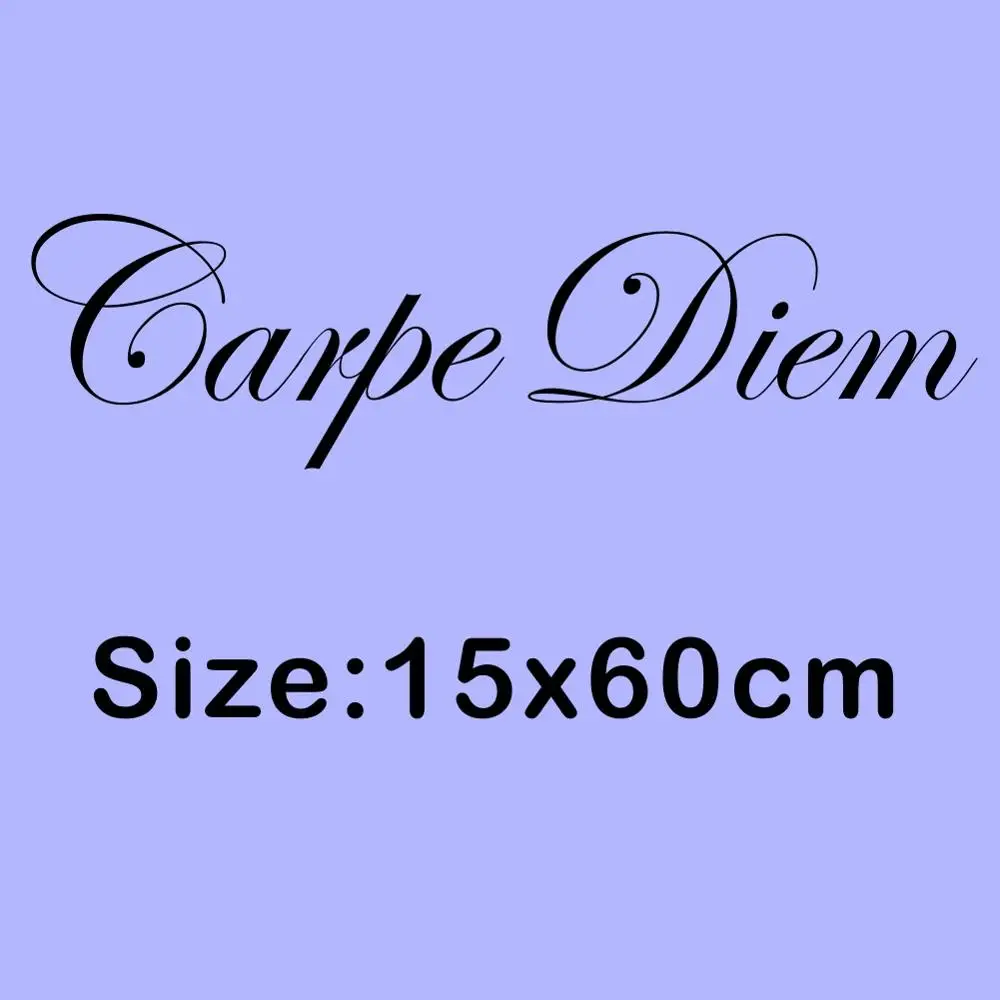Латинские цитаты DIY Carpe Diem виниловая наклейка на стену художественная Настенная Наклейка для украшения гостиной спальни - Цвет: 8172A