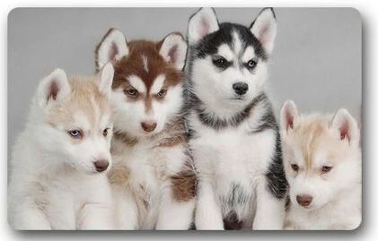 Забавный милый Хаски малыш одинаковые глаза члены семьи любовь собака дизайн