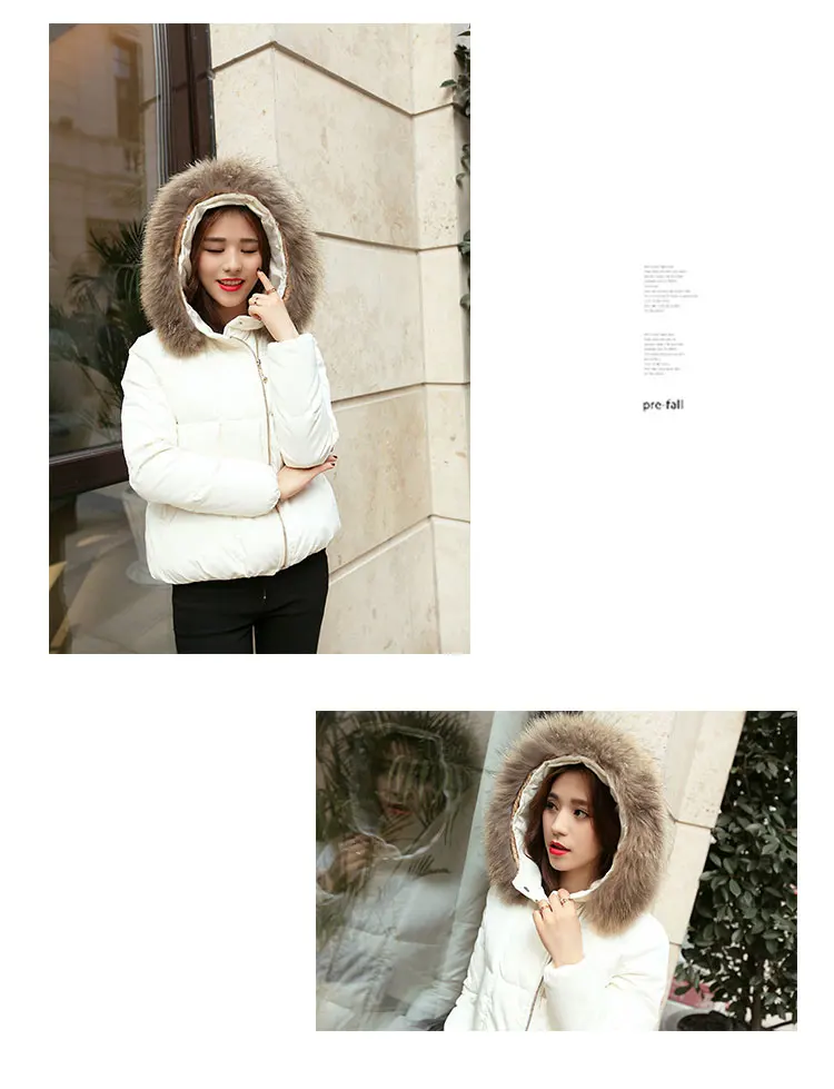 Tcyeek Зимний пуховик женский короткий пуховик женский большой меховой капюшон модная одежда ультра светильник пуховик на утином пуху LWL1043