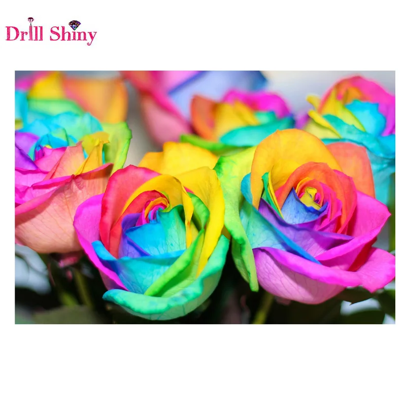 5d diy Алмазная вышивка цветная Роза алмазная живопись крестиком полностью