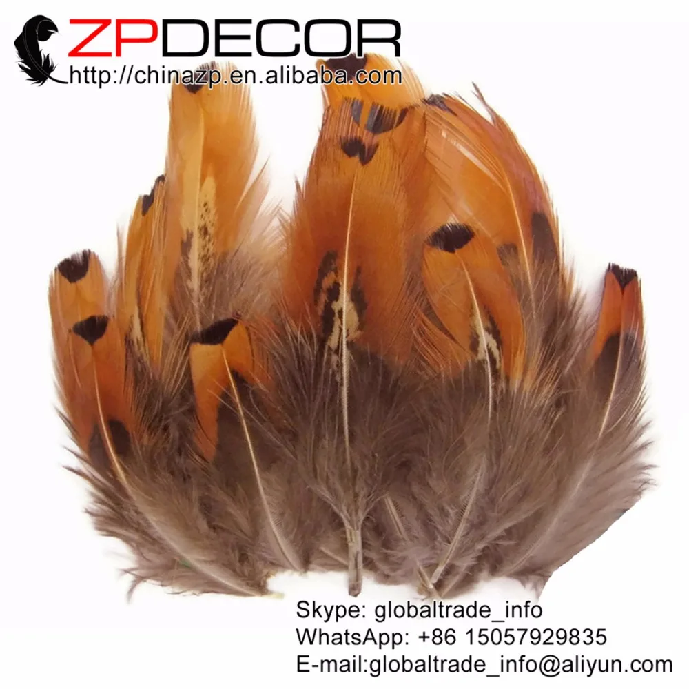 ZPDECOR 6 10 см 200 шт./лот чистое Золотое кольцо на шею оперение фазана свободные перья