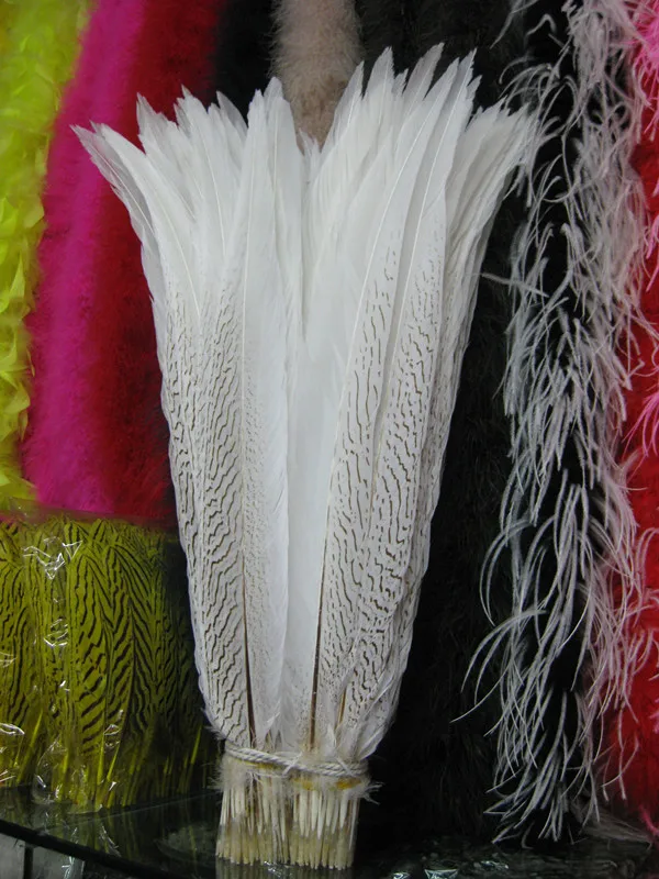 white Atacado 100 шт./lote prata faisao pena de galinha pena/pena de pavao/pena da avestrumz para chapelaria/головные уборы 50-55 см - Цвет: white