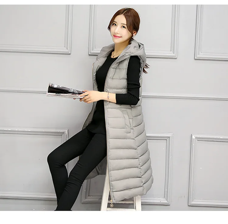 Женский осенне зимний хлопковый жилет Лизы колли женский 2017 Женская куртка с