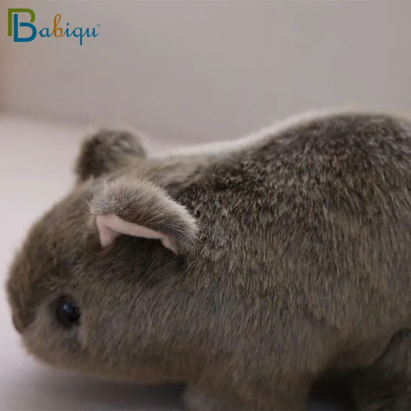 1 шт. 18 см Моделирование Плюшевые вомбат свинки Cavia Porcellus игрушка чучело дикие