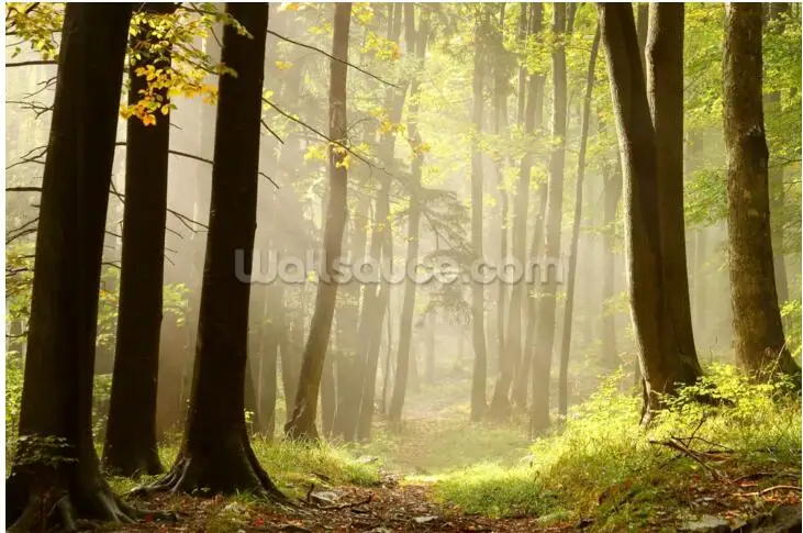Custom forest wallpaper Forest Pathway natural mural for living room bedroom bar KTV background home decoration | Обустройство дома