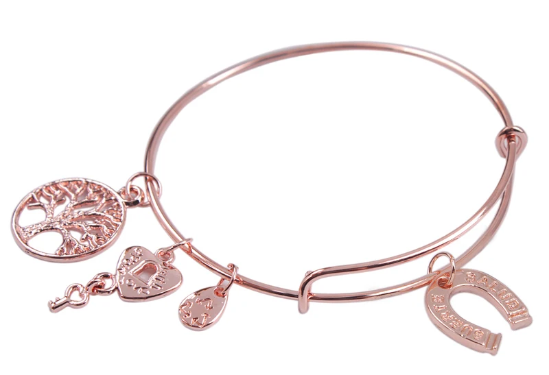 1 шт. мода розовое золото плиты расширения провода браслет бесплатная доставкак |