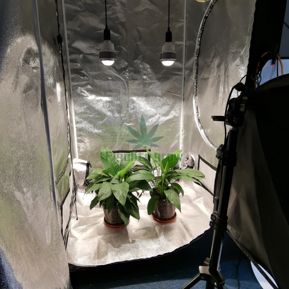 2 шт. Figolite grow 100W 3500K COB CXB3590 E27/E26 светодиодный светильник для выращивания