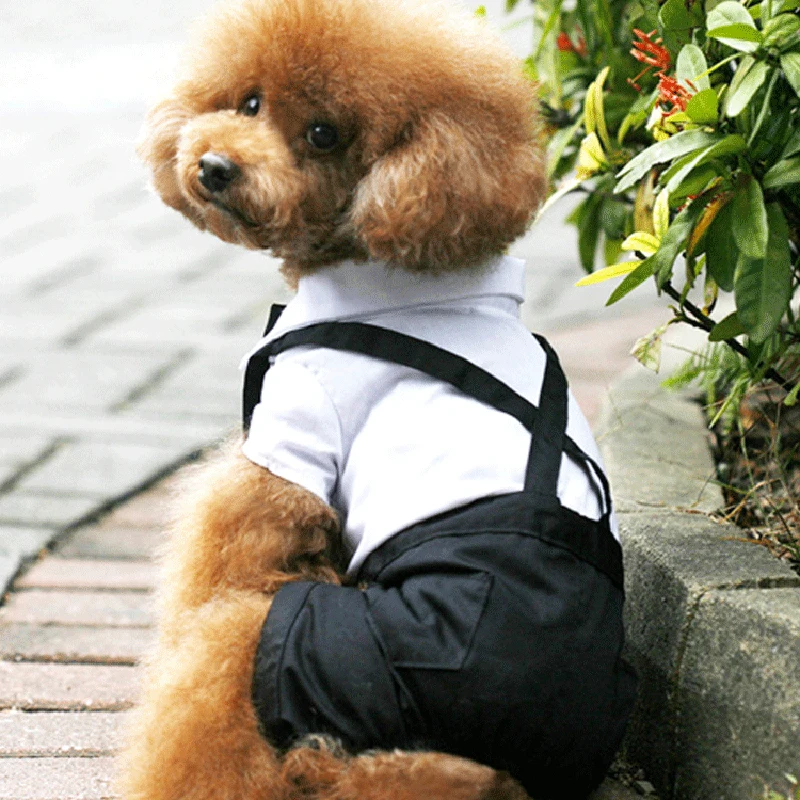 Одежда для питомцев пальто щенков свадебная рубашка в западном стиле с галстуком