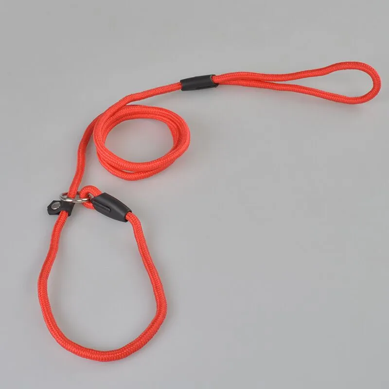 FE29 Новое поступление нейлоновые поводки для питомцев собак бесплатная
