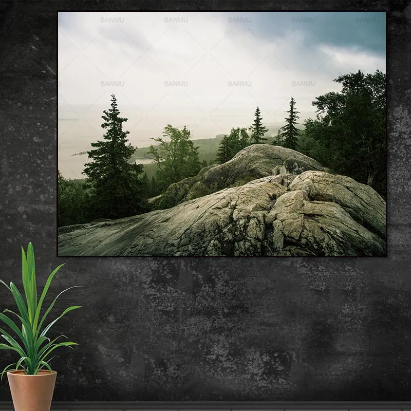 Художественная Настенная картина холст принт камень и деревья украшение для