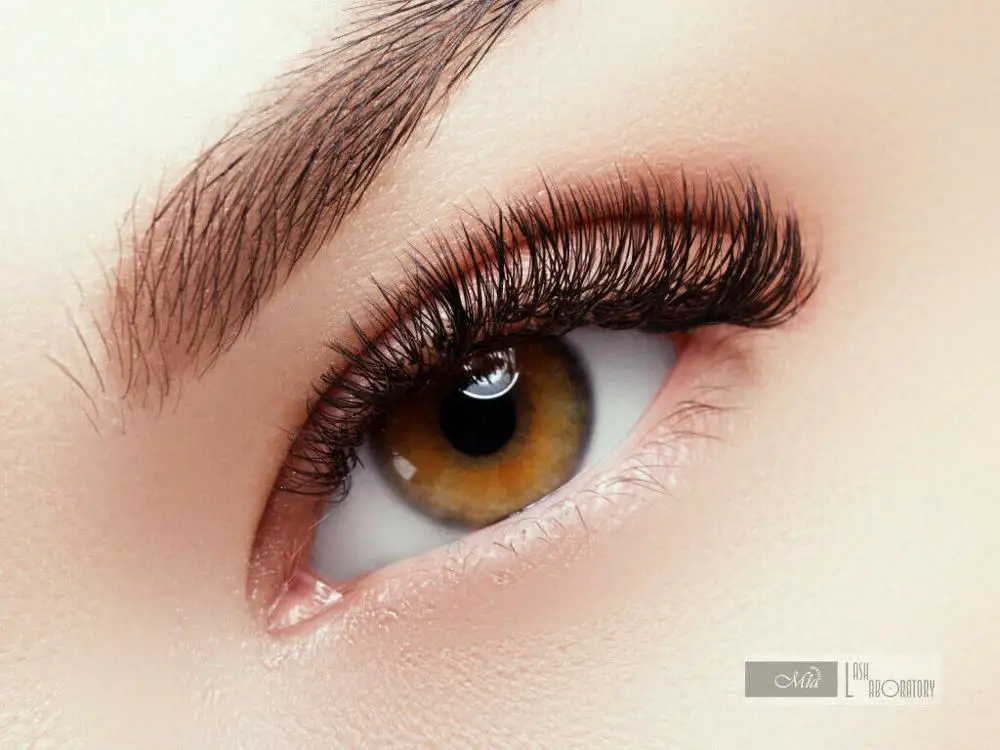 [0 12/0 15/0 20 C/D/DD/D + 8 15 мм/микс] Mia 2 0 Премиум шелковые ресницы полуперманентные