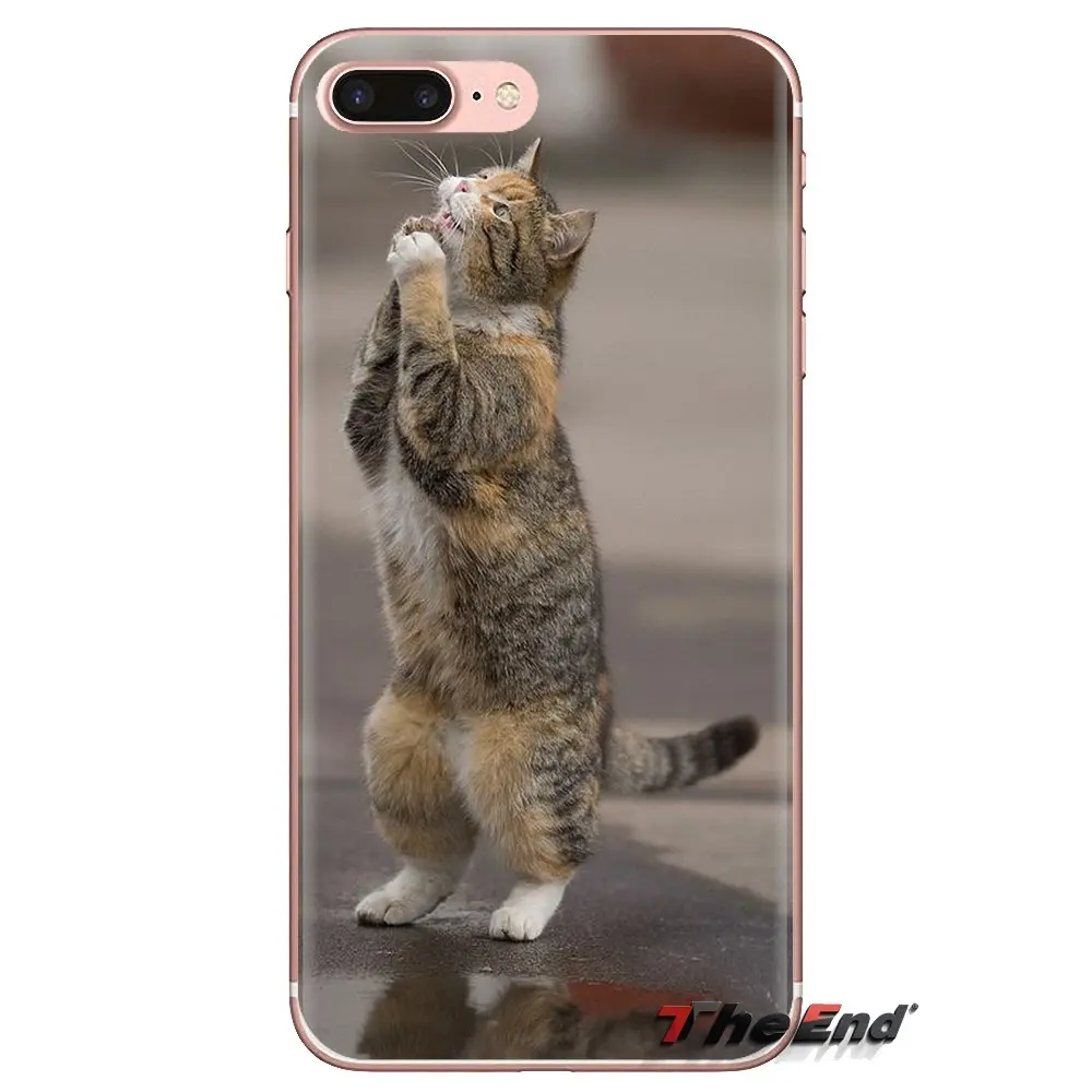 Прозрачные чехлы для Huawei Mate Honor 4C 5C 5X 6X 7 7A 7C 8 9 10 8C 8X 20 Lite Pro Pretty moly kitта Коты с принтом