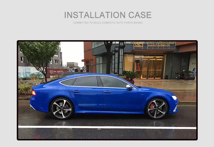 CVZ 356*22 мм Audi S8/S6 Просверленный цветок сливы оригинальная замена тормозного ротора с кронштейнами
