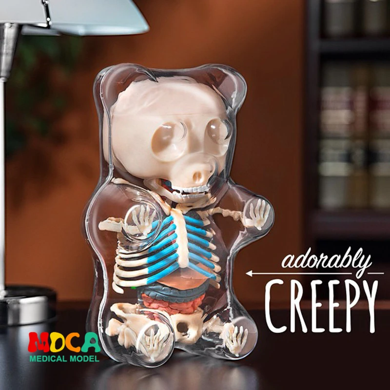 

Big bear 4d master puzzle Assembling toy Perspective bone anatomy model