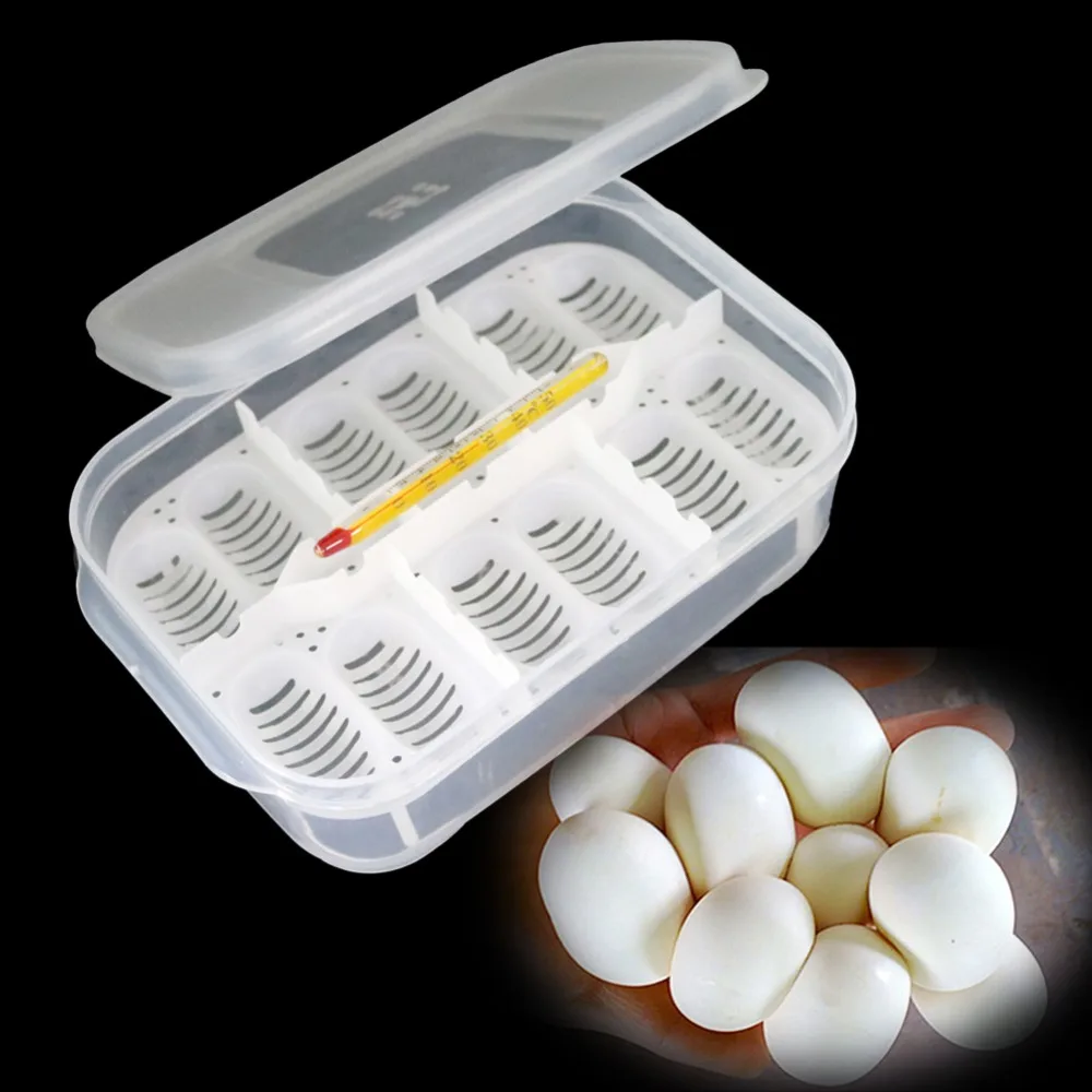 

12 Holes Reptile E-gg Incubation Tray Gecko Lizard Snake E-ggs Incubation Tool Insect keeping box