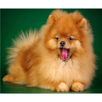 

YIKEE diamond painting dogdiamond embroidery animals full package Mosaic Crystal y783