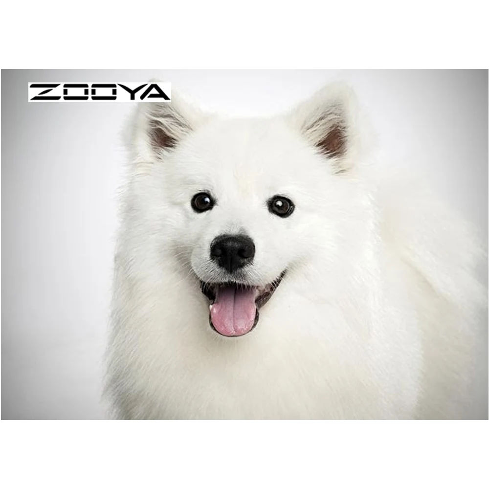 ZOOYA алмазная живопись Собака Щенок самоид полная Алмазная вышивка шаблон Стразы