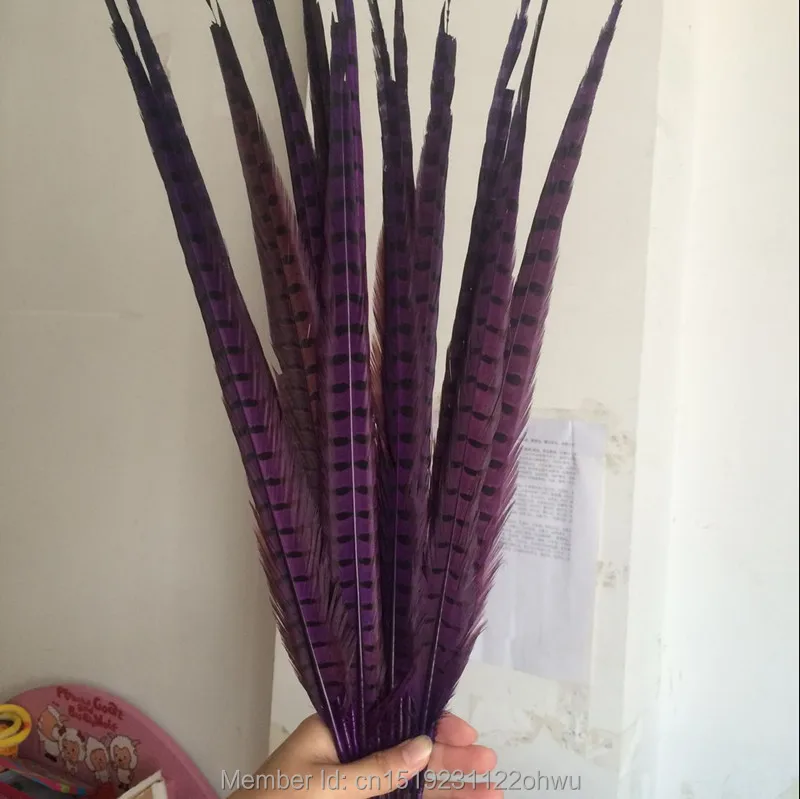 

Wholesale 200 pcs beautiful purple Pheasant Feather 16-18 inches 40-45 cm free shipping