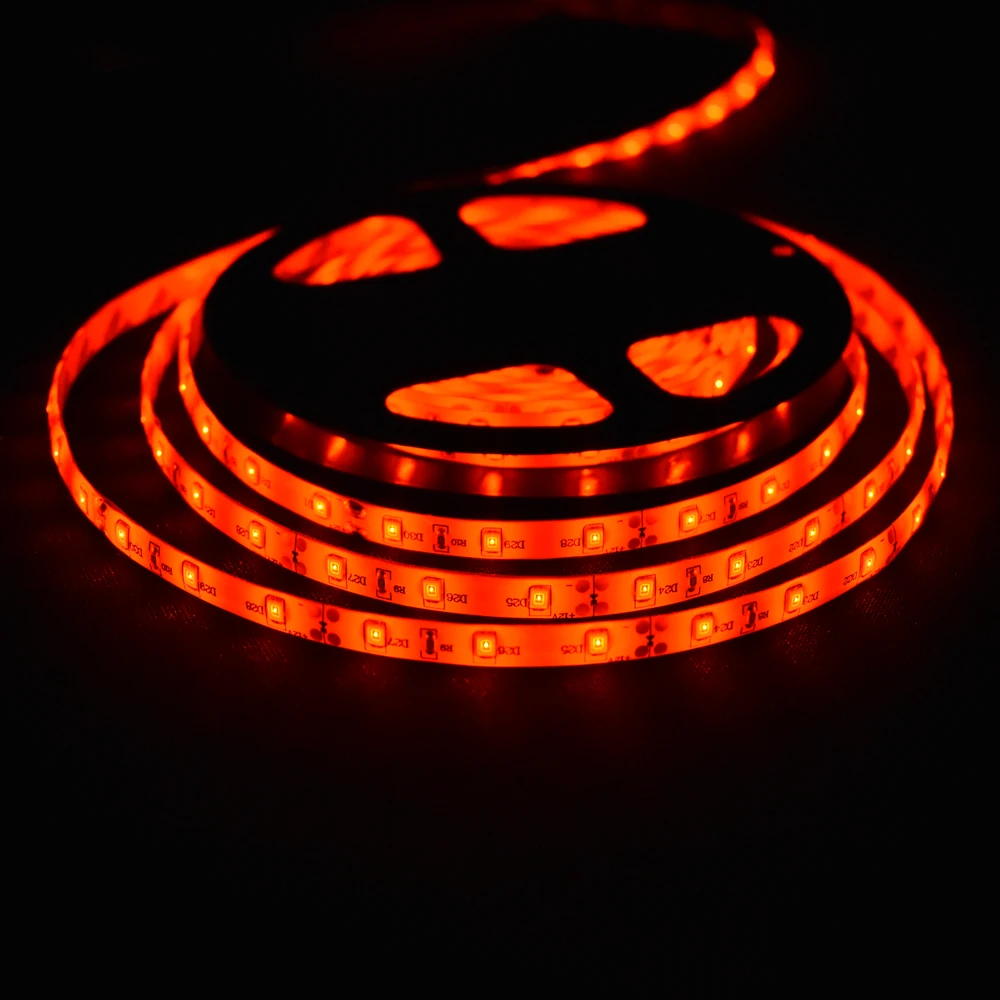 

3528 2835 LED Strip DC12v Waterproof Flexible strips 60LEDs/m 5m/lot Indoor outdoor decoration lamp with 12V 2A Power driver