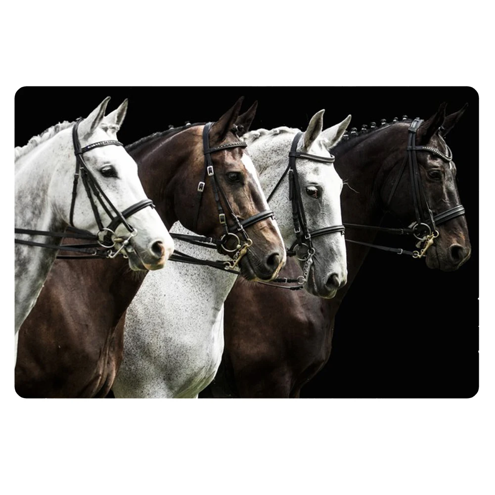 Смешной коврик 3d Crazy Horse напольные коврики для дома с принтом Нескользящие