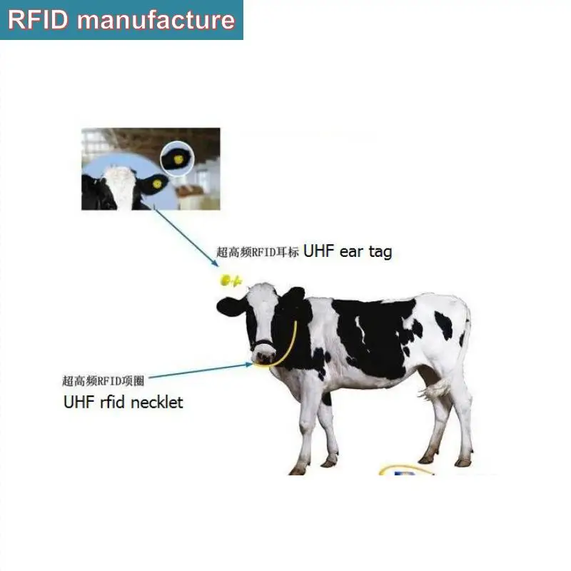 Rfid Идентификация животных uhf Ушная бирка дальность 1 см-2 метра для пассивного