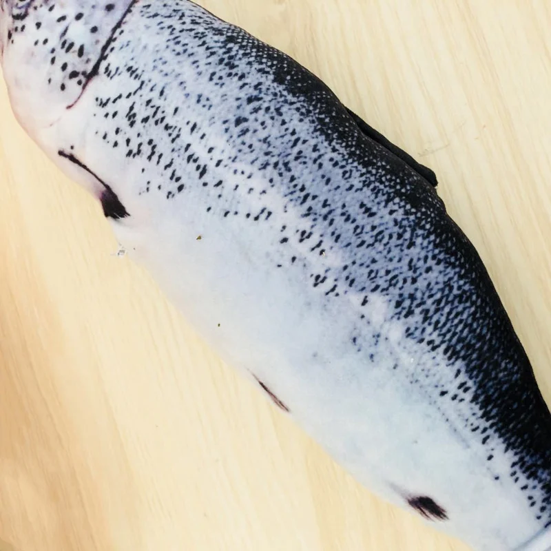 2019 горячая Распродажа игрушечная игрушка в виде рыбки плюшевая 3D форме карпа для