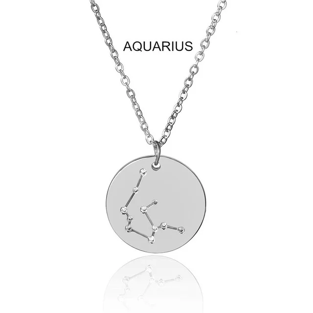 Ingemark 12 Zodiac Constellations Pendant Choker Necklace Birthday Gift Personalized Crystal Leo Libra Women Long Chain Necklace - Окраска металла: Aquarius Silver