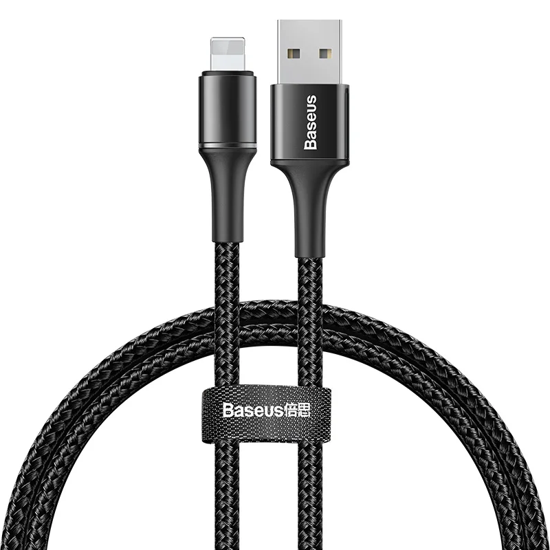 Baseus USB кабель для iPhone зарядное устройство Быстрая зарядка данных кабель мобильного телефона для iPhone Xs Max Xr X 11 8 7 6S 5 5S iPad провод шнур 3 м - Цвет: Black