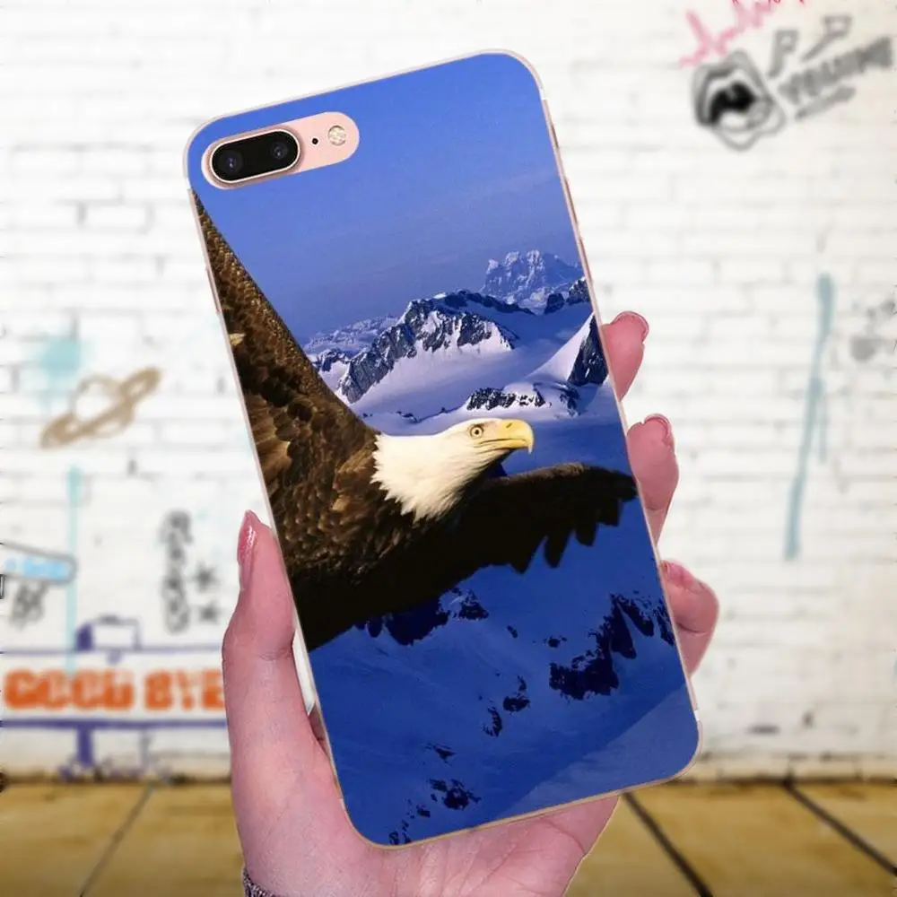 Мягкий чехол из ТПУ Eagles Flying Dominant для Apple iPhone X XS Max XR 4 4S 5 5C 5S SE 6 6S 7 8 Plus | Мобильные