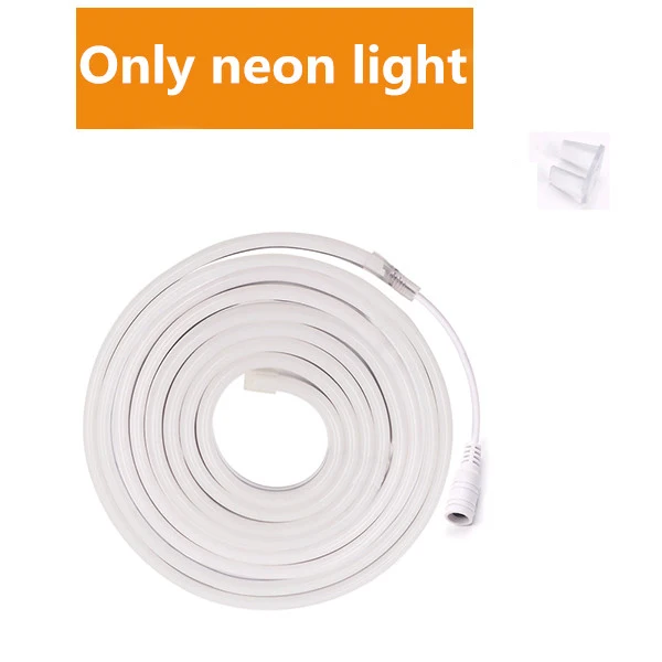 Only Neon Light DC 12 В светодиодный неоновый светильник водонепроницаемый SMD 2835 120 светодиодный s/m неоновый символ в виде ленты гибкий светодиодный светильник с питанием - Испускаемый цвет: Only Neon Light