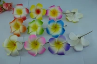 48 mixed colour foam hawaiian plumeria flower frangipani flower bridal hair clip 6cm