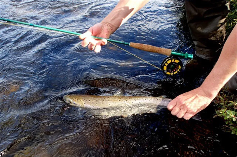 Удочка Maximumcatch быстроходная из углеродного волокна 3 8wt 4 шт. удочка стартер|fishing