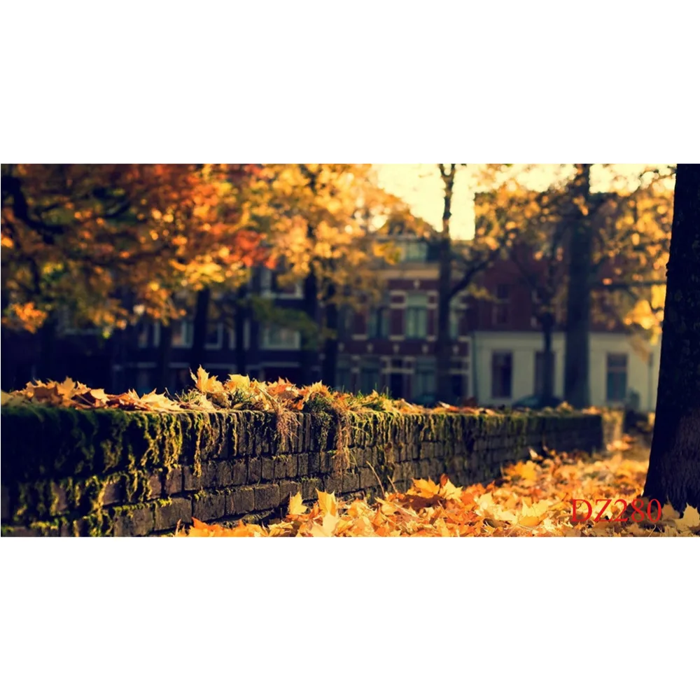 LB полиэстер и винил Осенняя улица дефолиация Природа Индивидуальный фон для