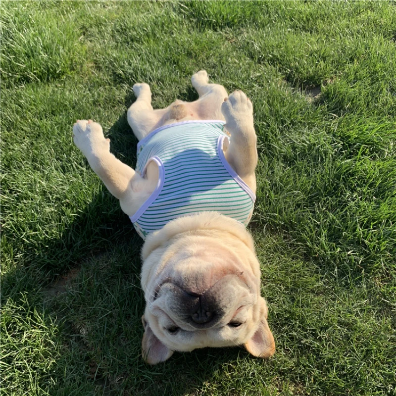 Cotton Dog Vest Pet Summer Clothes T-shirt Pajamas Poodle Bichon Schnauzer Pug French Bulldog Pyjama ropa perro | Дом и сад