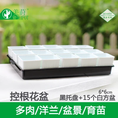 

Multi - meat plant pots plastic tray combination of creative resin nursery flower