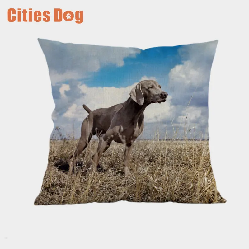 YDQ0060 Weimaraner декоративные подушки Чехол для собак cojines размером 45*45 см decoracion с рисунком собак из пледы чехол для подушечки в машину подушки - Цвет: YDQ0060
