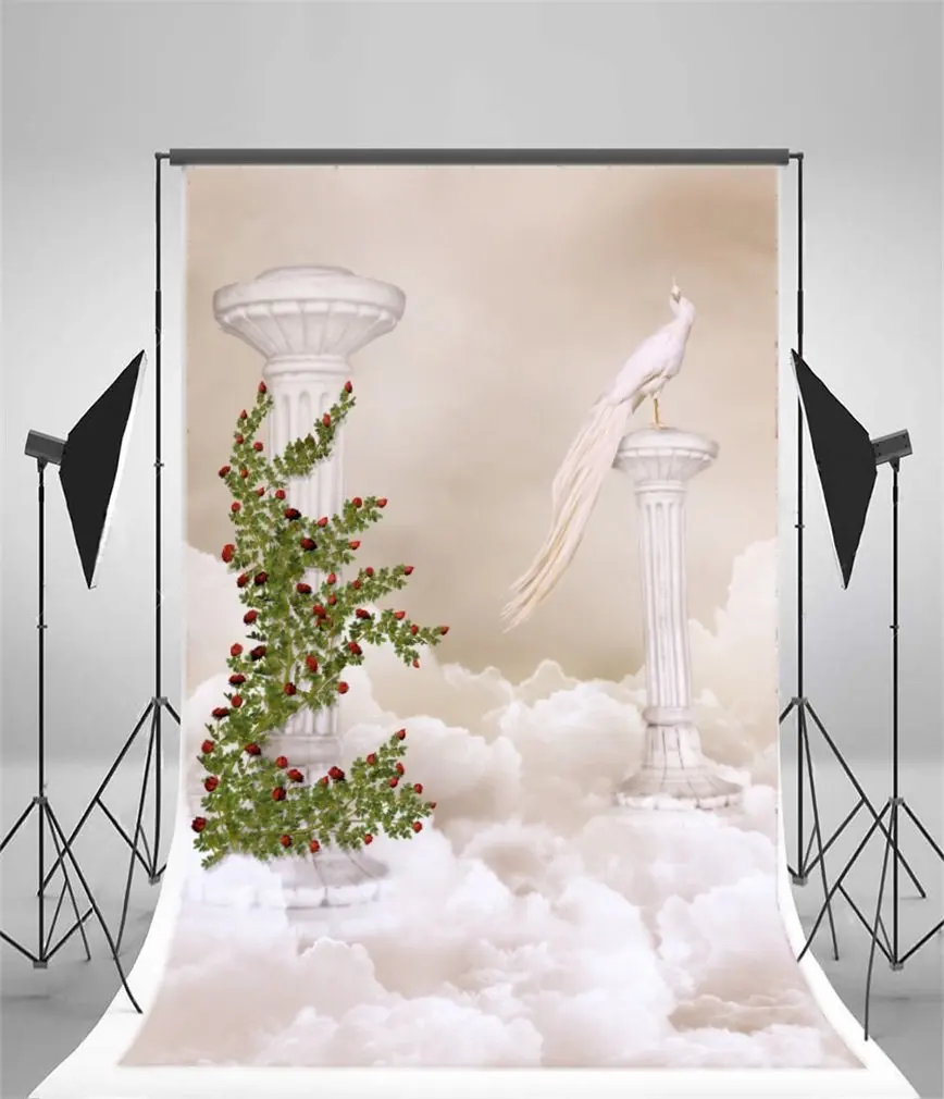 

Photography Backdrop Dreamland Fairytale Roman Column Flowers Green Vine White Phenix Clouds Fantasy Girl Princess